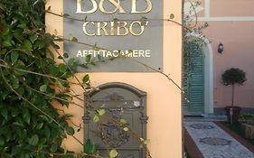 B&B Cribo